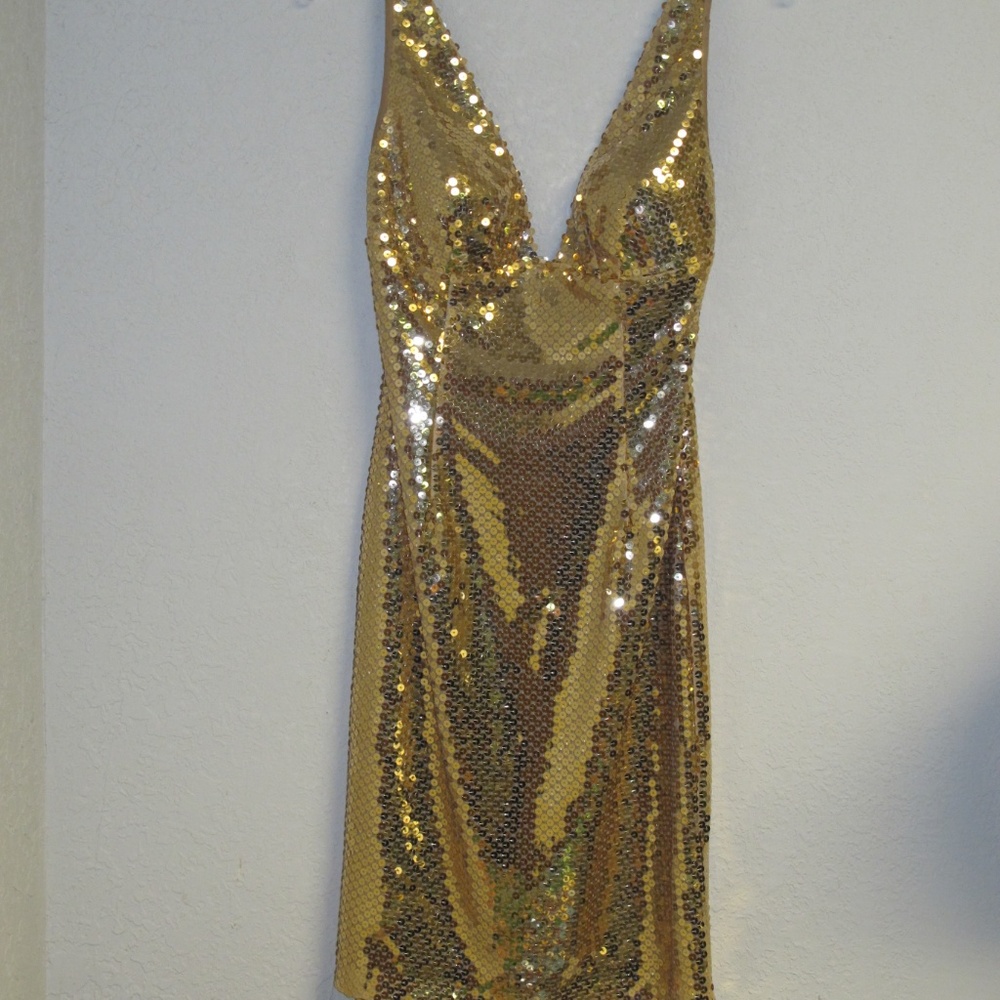 Special occasion holiday dress.